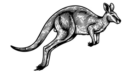 Fototapeta premium Black and white illustration of a kangaroo in mid-stride with powerful hind legs and extended tail