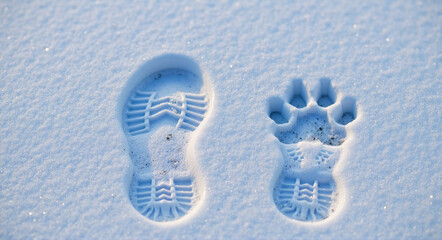 Human boot and dog paw prints side by side in fresh winter snow