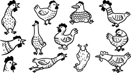 Obraz premium Whimsical doodle illustration of multiple hand drawn chickens in varied poses close up on white background, playful black ink line art