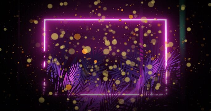 Hovering neon rectangular frame casting magenta glow across studio stage, with purple palm fronds