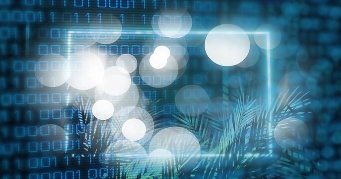 Glowing neon frame hovering over binary code grid in virtual studio, showing palm fronds and bokeh - Powered by Adobe