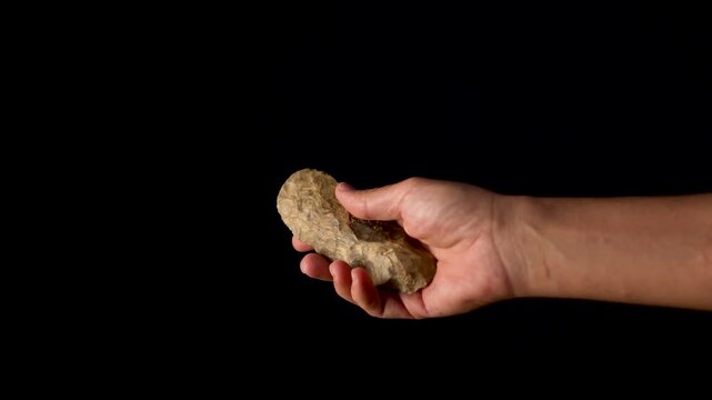 Slow motion of a man with a Paleolithic biface knife. Biface, both sides carved. Flint stone. Prehistoric tool in perfect condition. 4K at 50 fps