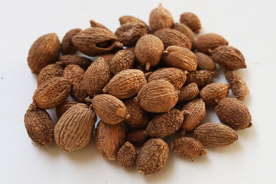 Dried Amomum villosum fruits or Sha Ren