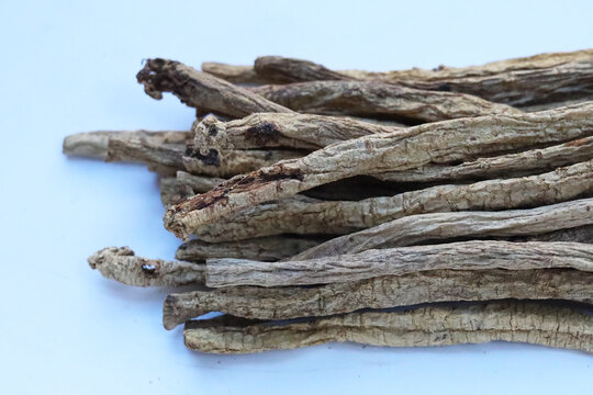 Dried brown Codonopsis root sticks used in Chinese herbal medicine.