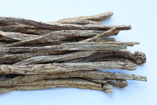 Dried brown Codonopsis root sticks used in Chinese herbal medicine.