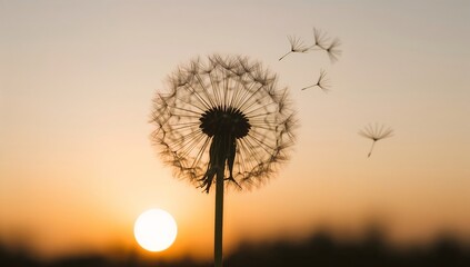 A dandelion seed head in silhouette against a vibrant sunset background, with a few seeds blowing away