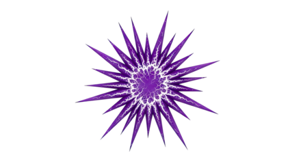 Purple Starburst with Intricate White Pattern