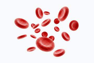 A close up of red blood cells. The image is of a single cell, but it is surrounded by other cells, giving the impression of a cluster