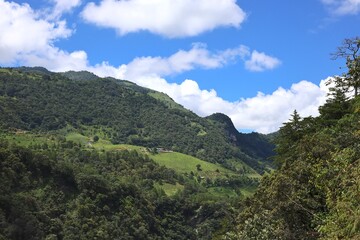 Obraz premium Nature photography in the mountains of Mexico.