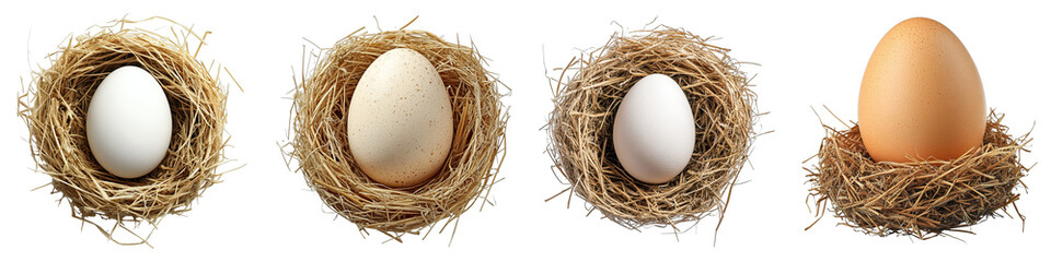 Four eggs in woven nests, each with a unique shell. The nests and eggs are close-up. They are of different colours and textures.