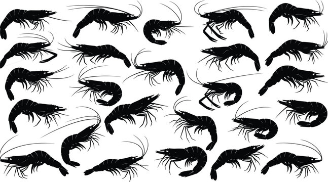 Collection of shrimp and prawn silhouettes showing dynamic marine crustaceans, black vector seafood illustrations for fishing, culinary design, ocean life, and graphic projects