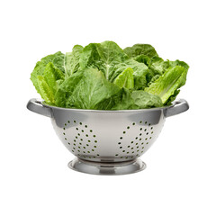 Metal Colander with Fresh Green Lettuce Isolated on Transparent Background