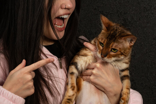 Conflict owner and pet