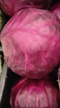This is a view of fresh, recently harvested, ripe, many pink cabbages in a supermarket.Esta es una vista de&nbsp;frescos, reci&eacute;n cosechados, maduros, de muchas coles de color rosa en un supermercado.(8)