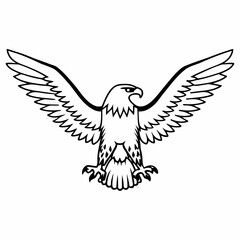 Obraz premium Black and white powerful eagle spread 