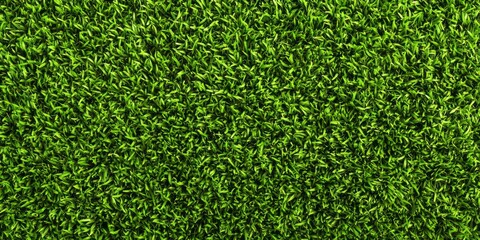 Fototapeta premium Vibrant green grass creates a lush texture for natural backgrounds.