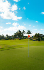 Fototapeta premium Tropical Golf Green: Orange Flag Marks Hole, Palm Trees Frame View