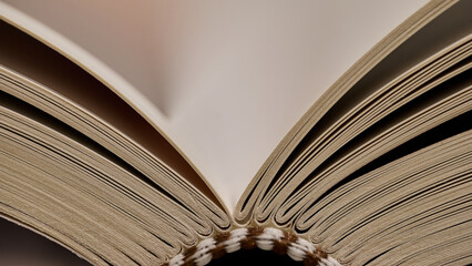 Close-up of Open Book Binding and Page Folds