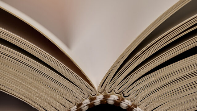 Close-up of Open Book Binding and Page Folds