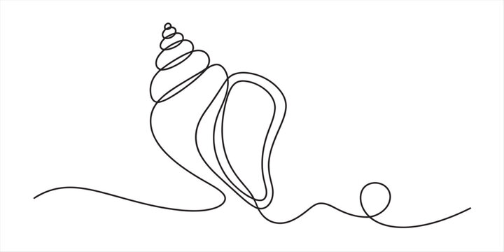 Elegant continuous line art drawing of a conch shell on a clean white background