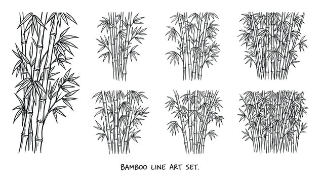 Bamboo line art set with varying densities of bamboo stalks and leaves, drawn in black and white for nature and plant designs.
