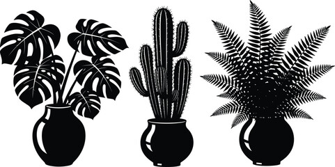 Potted houseplants silhouettes featuring monstera cactus and fern black vector illustration isolated on white background for modern interior decor botanical design © Heyyy