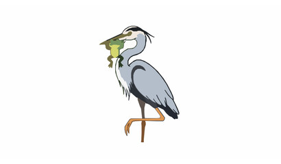 Fototapeta premium Cute heron bird holding frog cartoon vector illustration on white