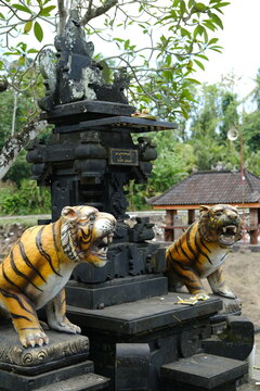 Statues of Two Roaring Tigers Guarding a Balinese Altar