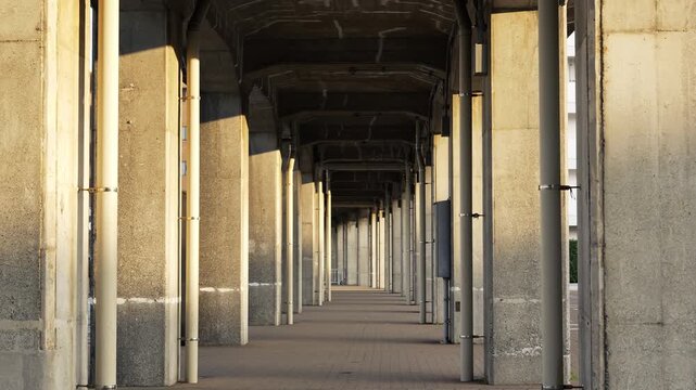 Symmetrical rows of concrete columns under an urban bridge during a sunny day.