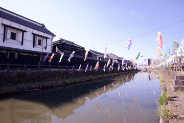 栃木市　蔵の街栃木と巴波川の鯉のぼり