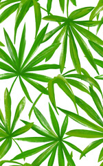 手描きタッチの熱帯植物のシームレスパターン
　ディープグリーン