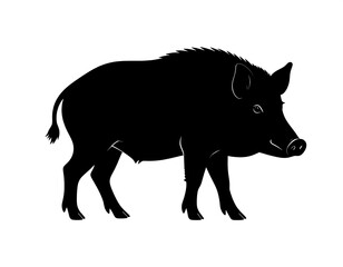 Fototapeta premium A black silhouette of a wild boar against a white background