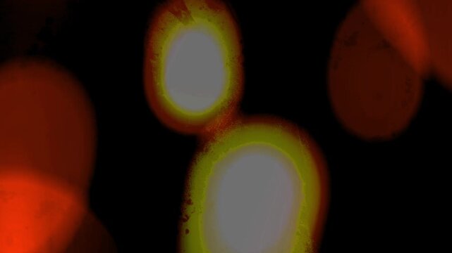 Light Transition, Abstract Night Bokeh Lights In Warm Motion