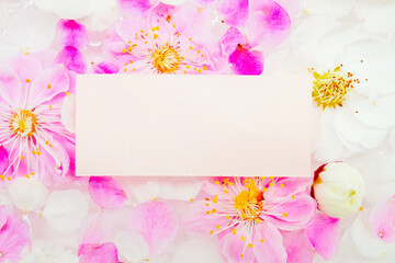 たくさんのピンクと白の梅の花を背景にした春らしいコメントフレームのモックアップ