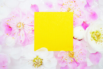 たくさんのピンクと白の梅の花を背景にした新春イメージのイエローのコメントスペースのモックアップ