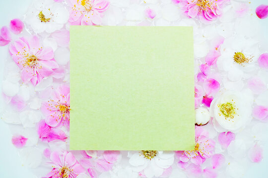 水に浮かべた美しい梅の花を背景にしたグリーンのタイトル枠のモックアップ