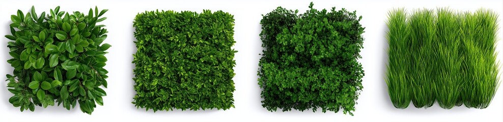 Obraz premium Various green plants creating square foliage textures, showing decorative garden elements and abstract nature backgrounds