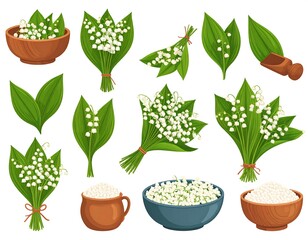 A collection of lily of the valley flowers and leaves