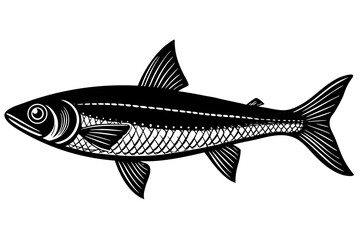 Obraz premium Fish isolated on white