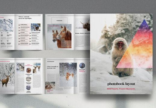Colorful Wild Animals PhotoBook Brochure Layout