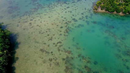 Obraz premium Aerial drone view of clear green water bordered by lush forested islands in Sambulawan Islets in Sipalay, Negros Oriental, Philippines