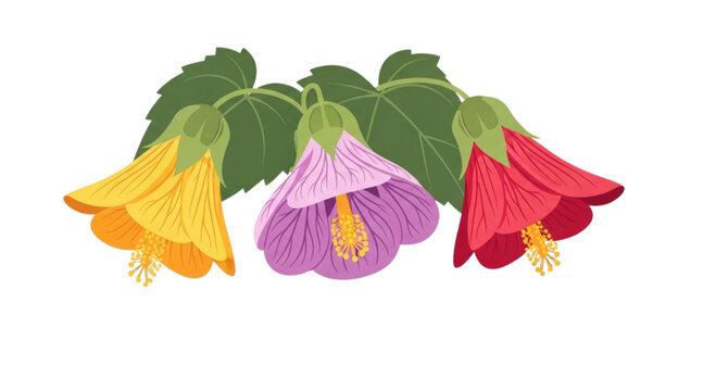 Abutilon: Bell-shaped flowers in a variety of bright colors