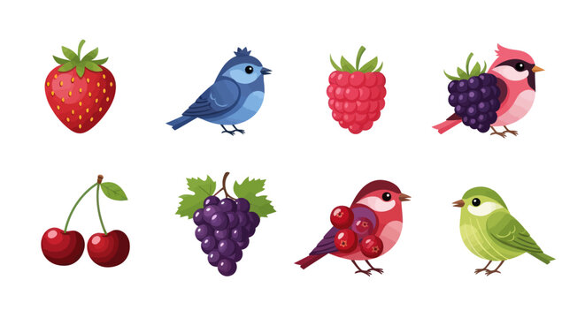 Colorful birds and berries illustration for design and decoration