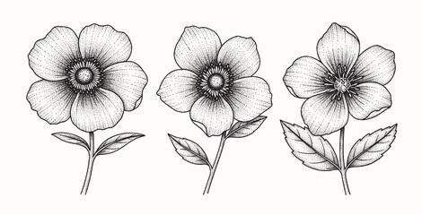 Fototapeta premium Set with spring garden flowers.