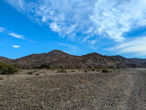 Sonora Desert Yuma Arizona Reference Photo