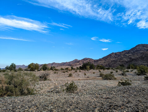 Sonora Desert Yuma Arizona Reference Photo