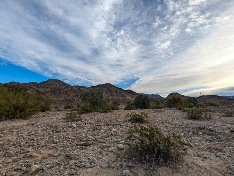 Sonora Desert Yuma Arizona Reference Photo
