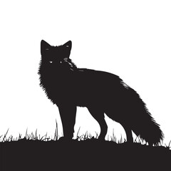 Obraz premium Fox graphic illustration silhouette ginger white black fox head fox tail 