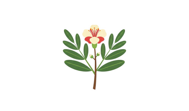 Shami Flower and Leaves Flat Icon Vector Prosopis Cineraria Nature Symbol