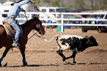 Cowgirl on Horseback Roping a Calf in Rodeo Arena © Jackson Photography